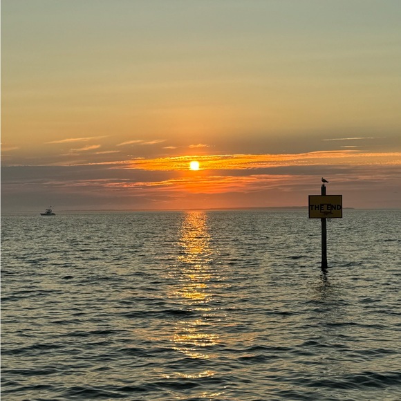 Meet your Posher, Melania - Picture 1 of 1